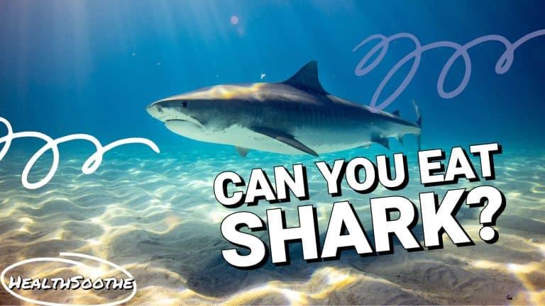 can you eat sharks