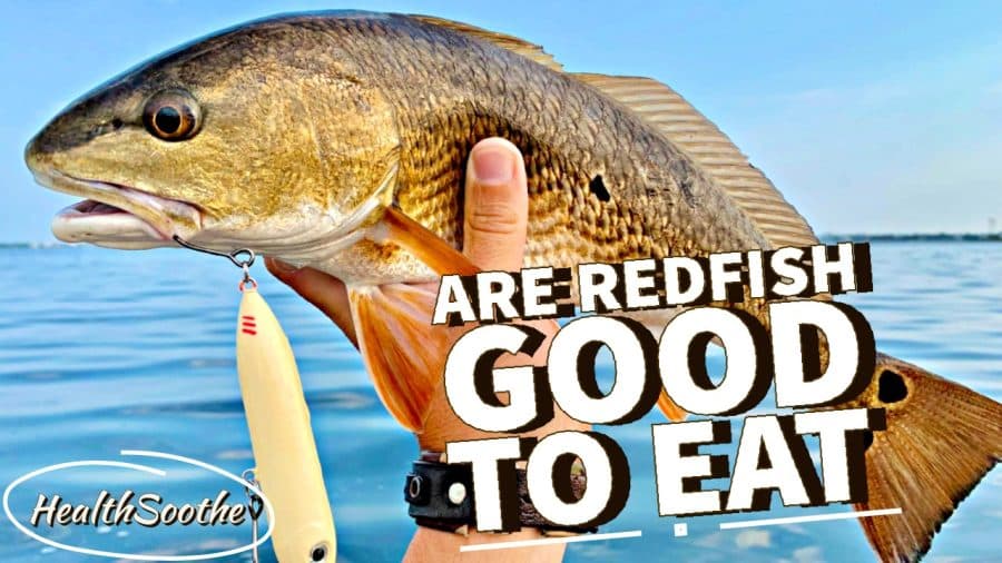 are redfish good to eat