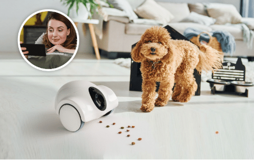 GULIGULI Gives Peace of Mind to Pet Owners with their Pet Companion Robot