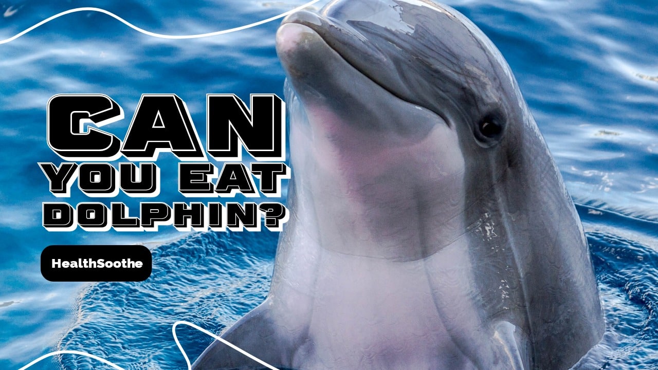 Can You Eat Dolphin