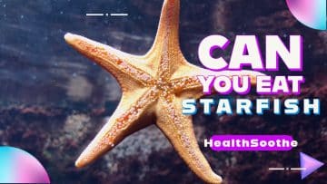 Can you eat starfish