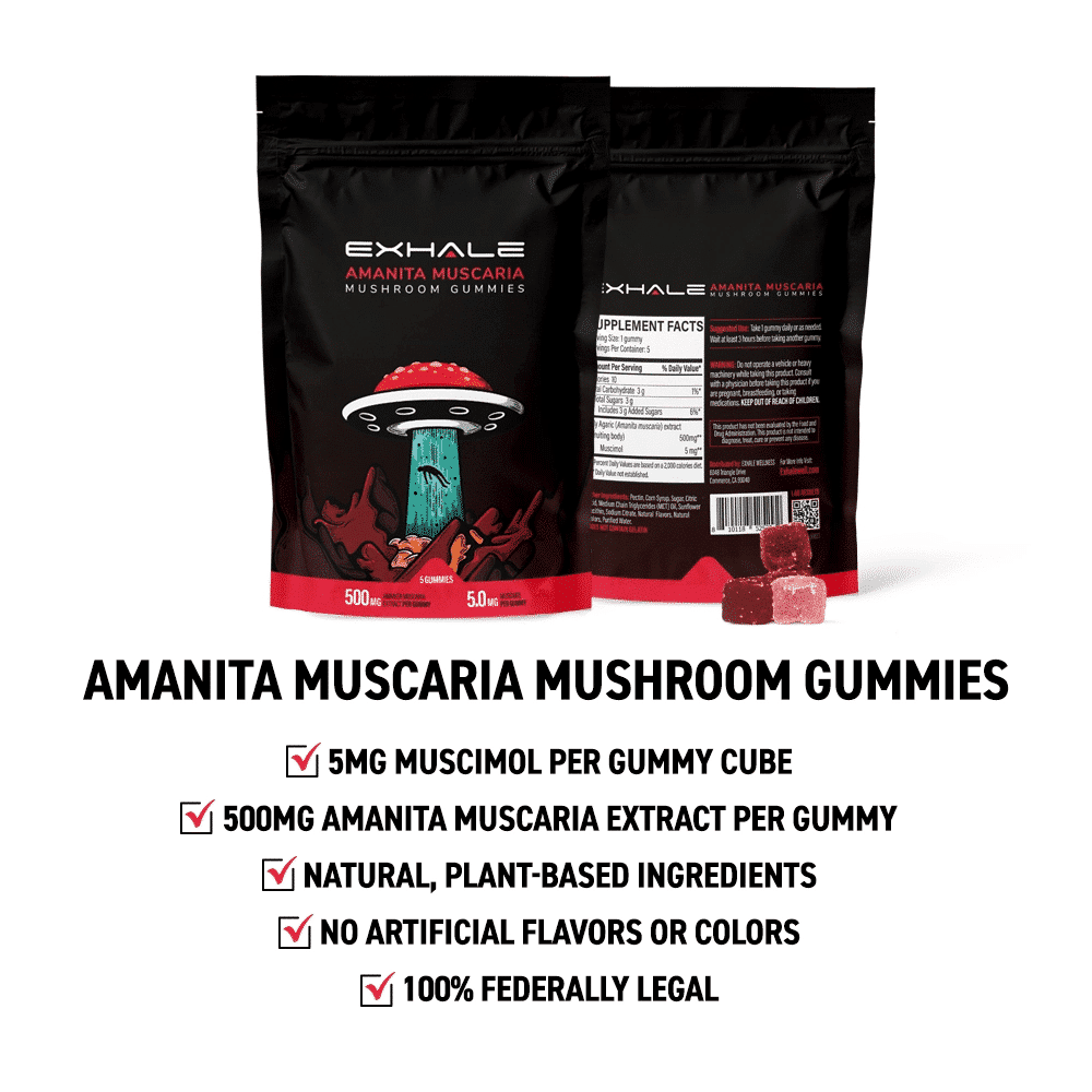 10 Health Benefits Of Mushroom Gummies