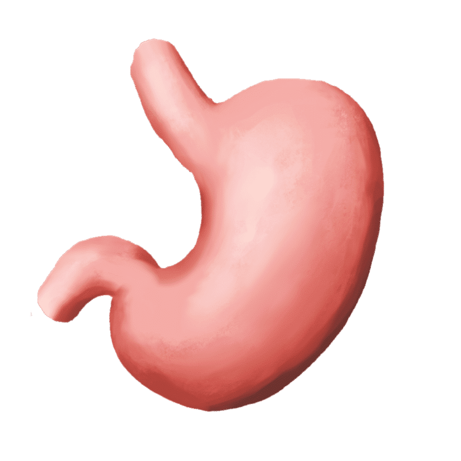 Gut Inflammation and Weight Gain: How Are They Related?
