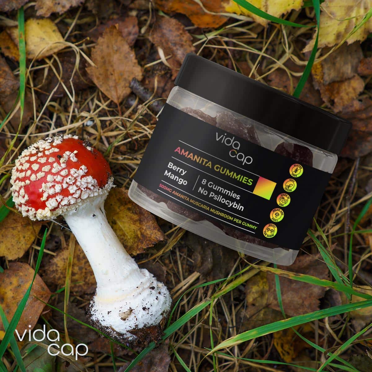 Best Amanita Muscaria Gummies