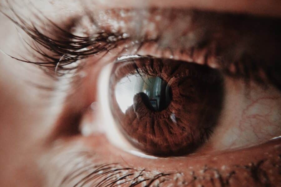 Vision Care: Protecting Your Eyes From Common Eye Conditions