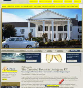 Healthsoothe Demo Link In Main Content Of The Homepage