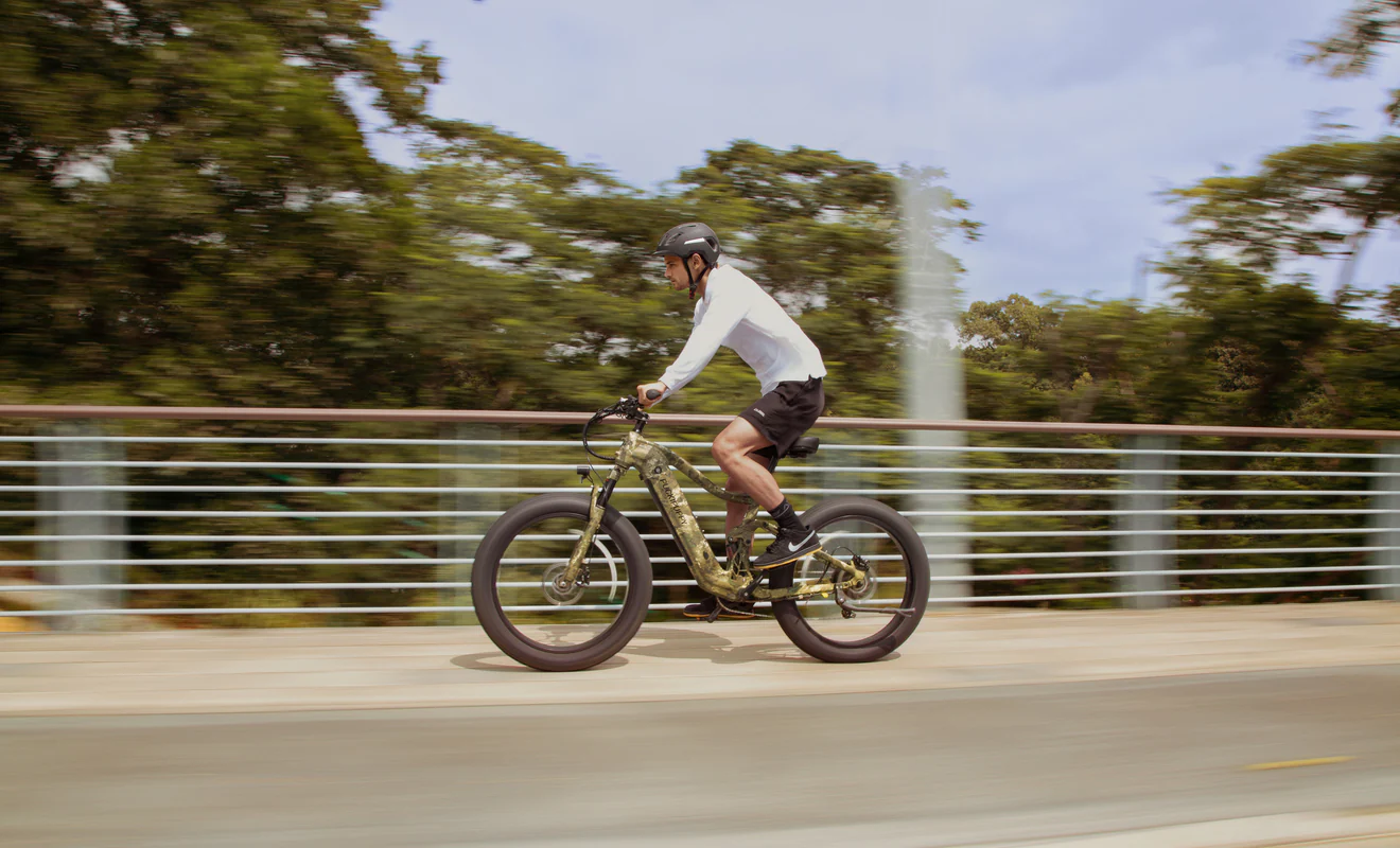 Ebike