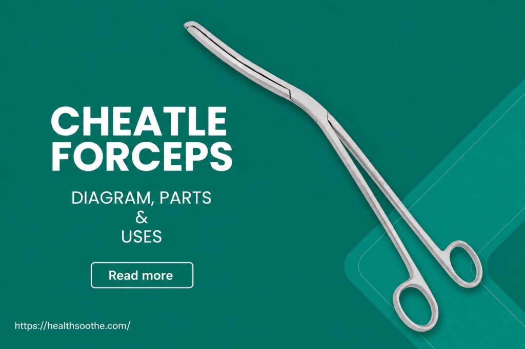 Cheatle Forceps: Diagram, Parts, and Uses Explained Cheatle Forceps